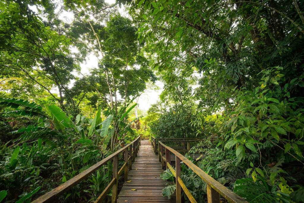 Blue River Resort & Hot Springs Liberia Exterior foto