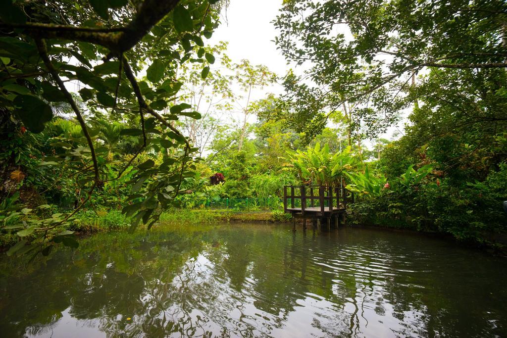 Blue River Resort & Hot Springs Liberia Exterior foto