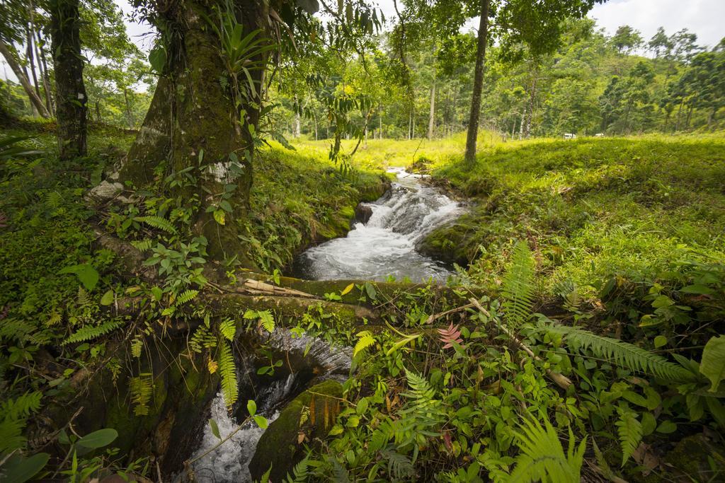 Blue River Resort & Hot Springs Liberia Exterior foto